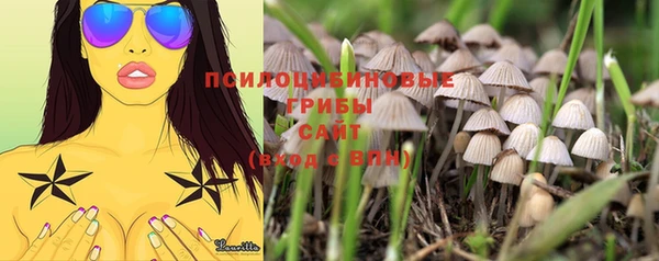 2c-b Кулебаки