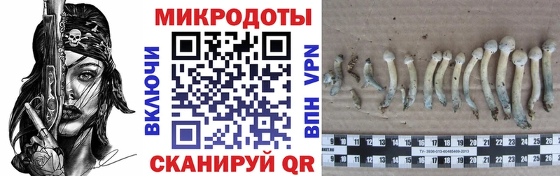 Купить  Ливны  Галлюциногенные грибы прущие грибы 
